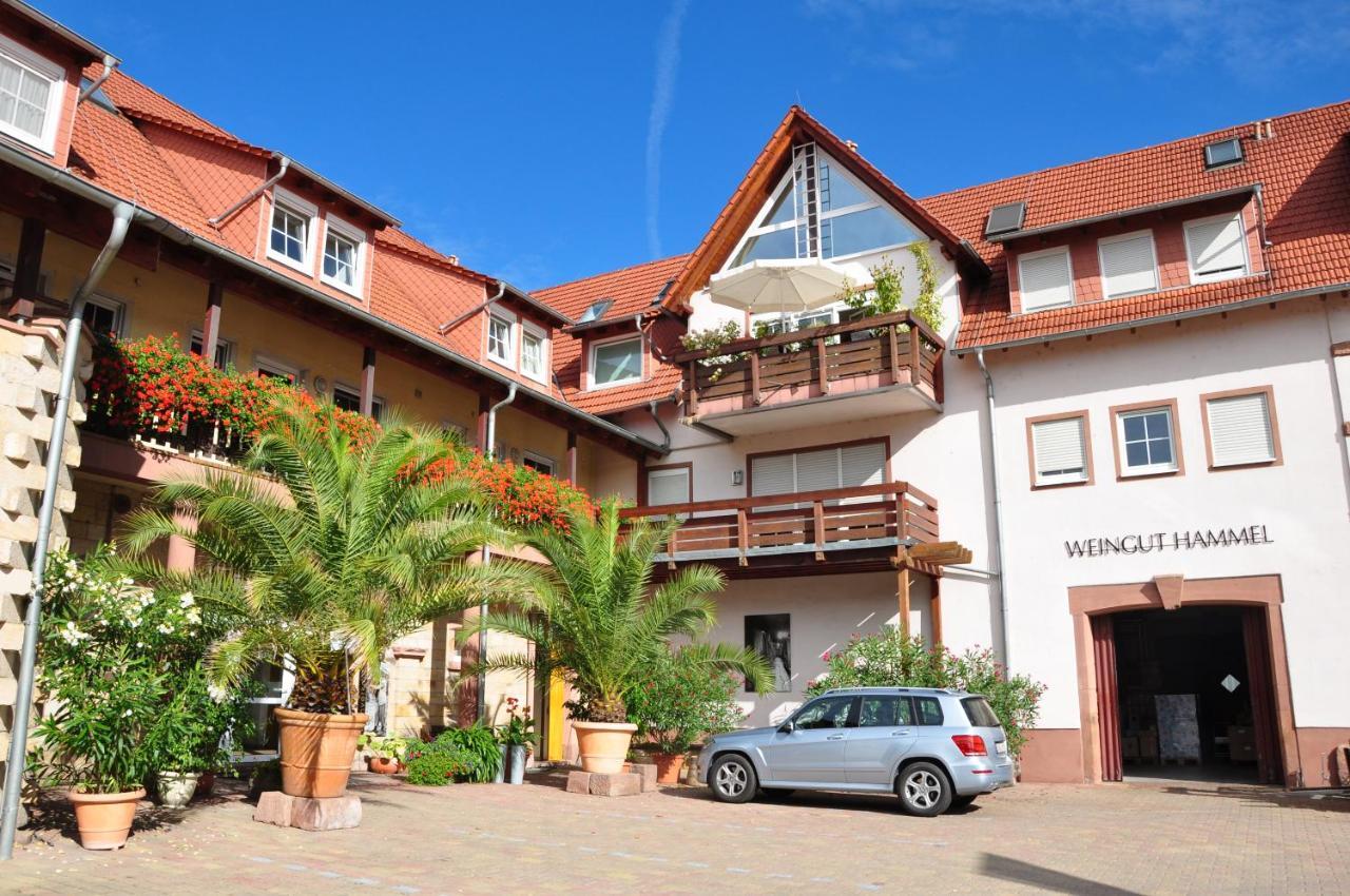 Kirchheim an der WeinstrasseWohnen Im Weingutアパートメント エクステリア 写真